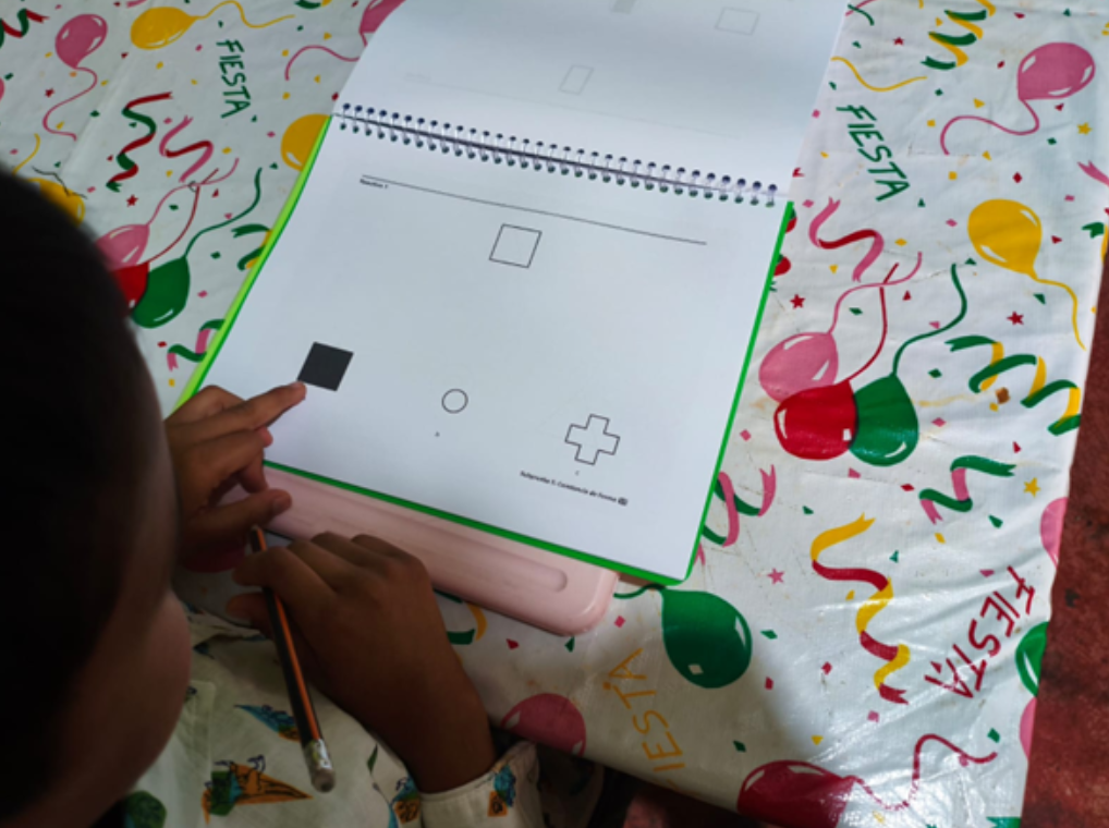 Evidencia gráfica Frostig 2