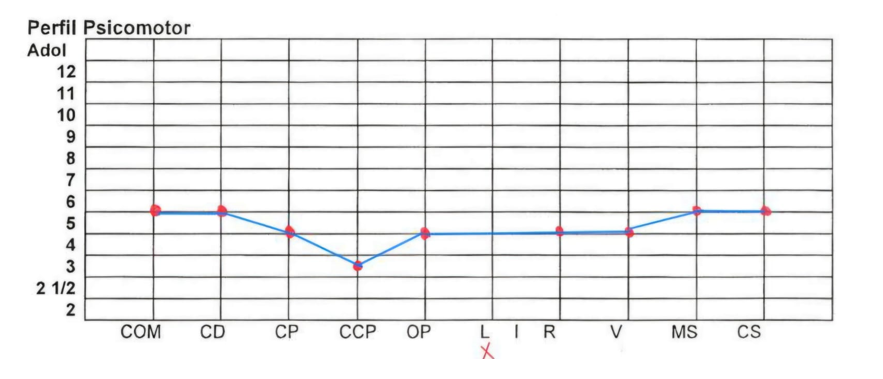 Análisis cuantitativo Pierre Vayer 2