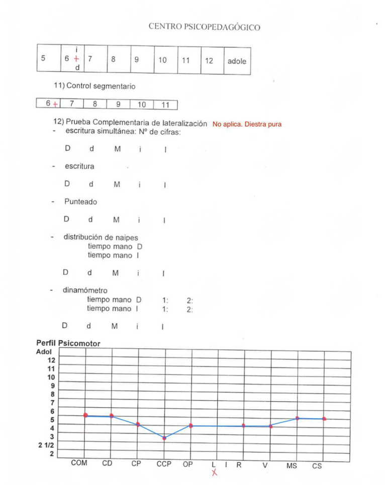Protocolo Pierre Vayer 4